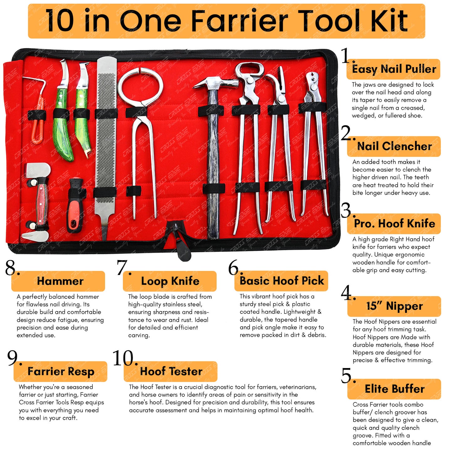Horse Farrier Tools Kit – Hoof Trimming & Shoeing Set with Case
