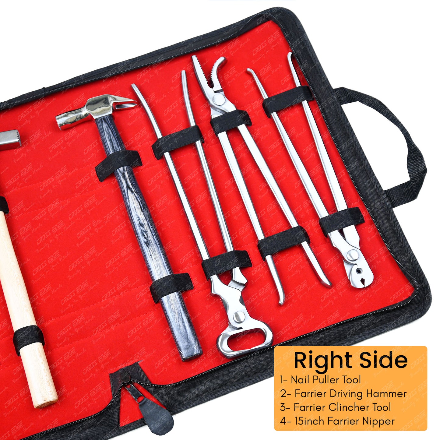Horse Farrier Tools Kit – 10 Pc Professional Hoof Trimming & Shoeing Set with Case