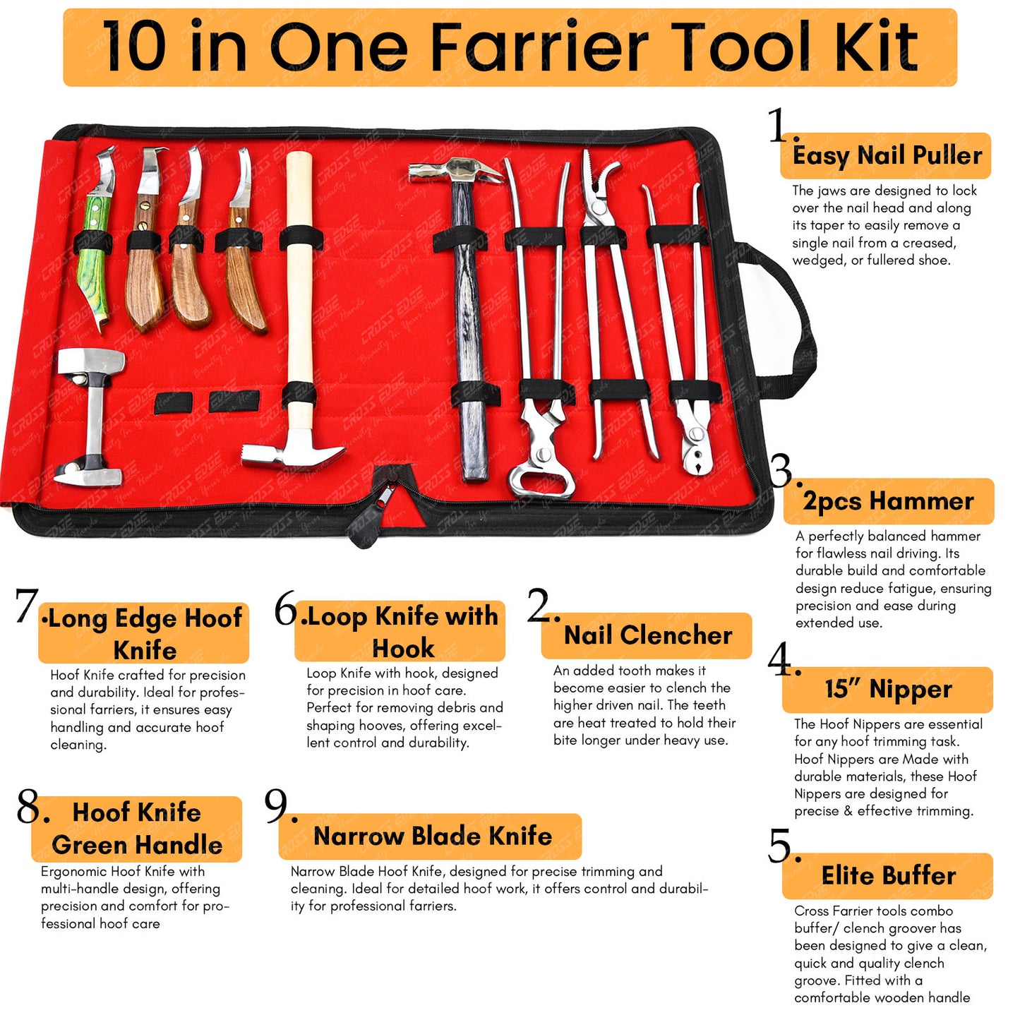 Horse Farrier Tools Kit – 10 Pc Professional Hoof Trimming & Shoeing Set with Case
