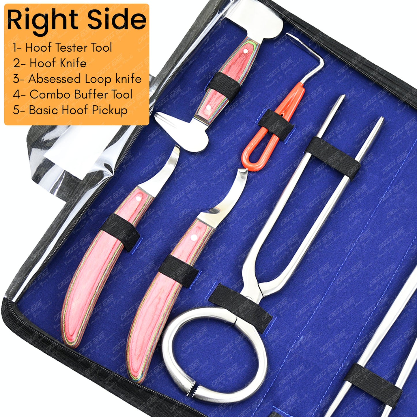 Horse Farrier Tools Kit – 9 Pc Professional Hoof Trimming & Shoeing Set