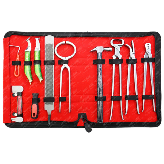 Farrier Tool Kit – 10-Piece Hoof Trimming & Shoeing Set