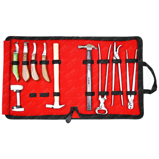 Horse Farrier Tools Kit – 10 Pc Professional Hoof Trimming & Shoeing Set with Case