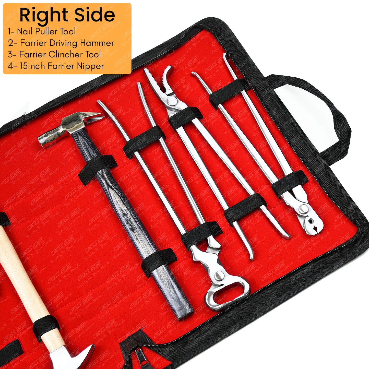 Horse Farrier Tools Kit – 10 Pc Professional Hoof Trimming & Shoeing Set with Case