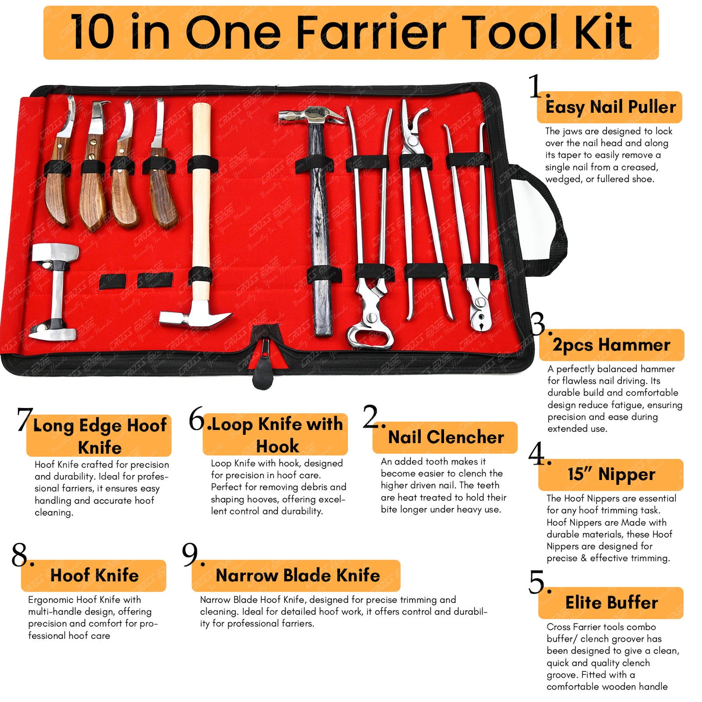 Horse Farrier Tools Kit – 10 Pc Professional Hoof Trimming & Shoeing Set with Case