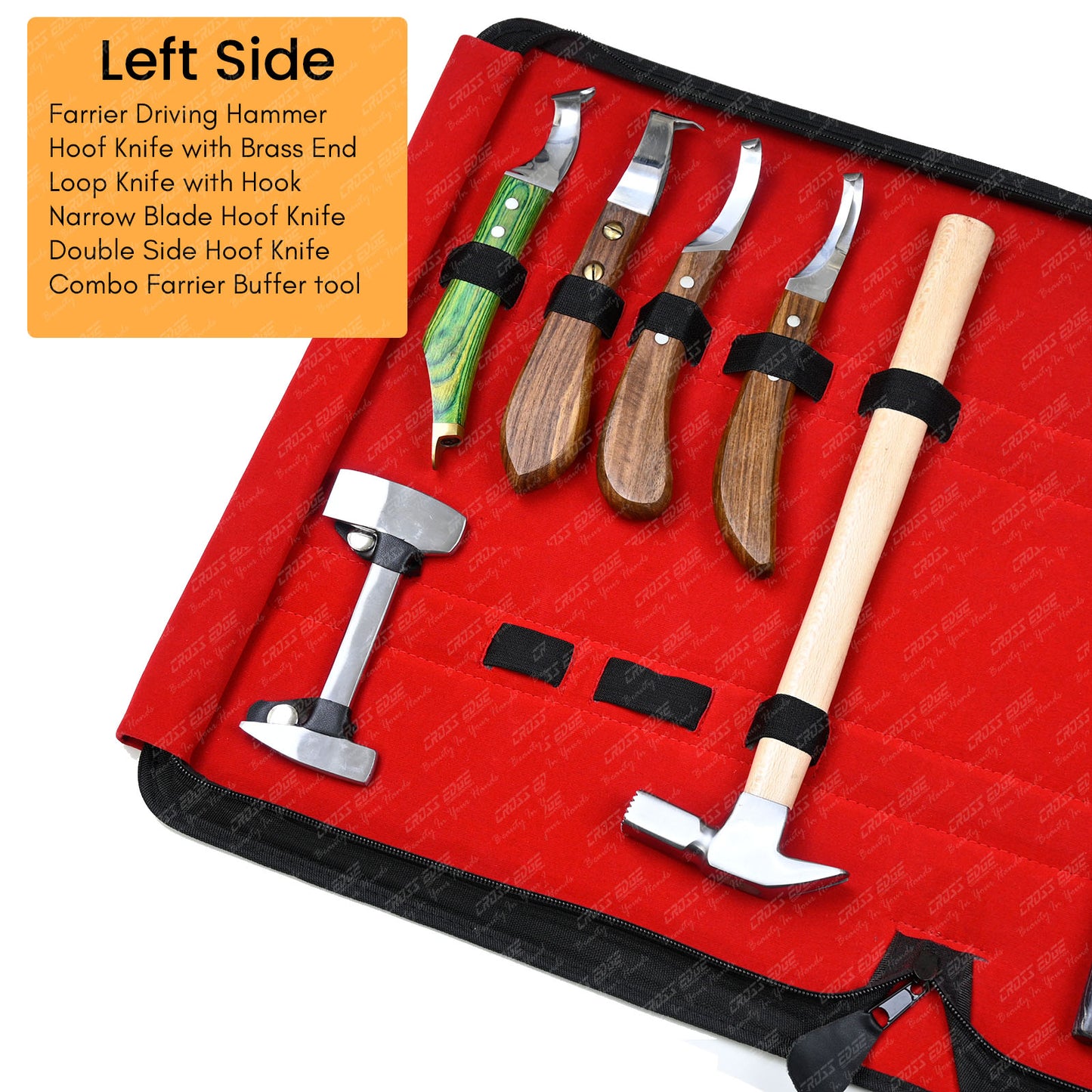 Horse Farrier Tools Kit – 10 Pc Professional Hoof Trimming & Shoeing Set with Case