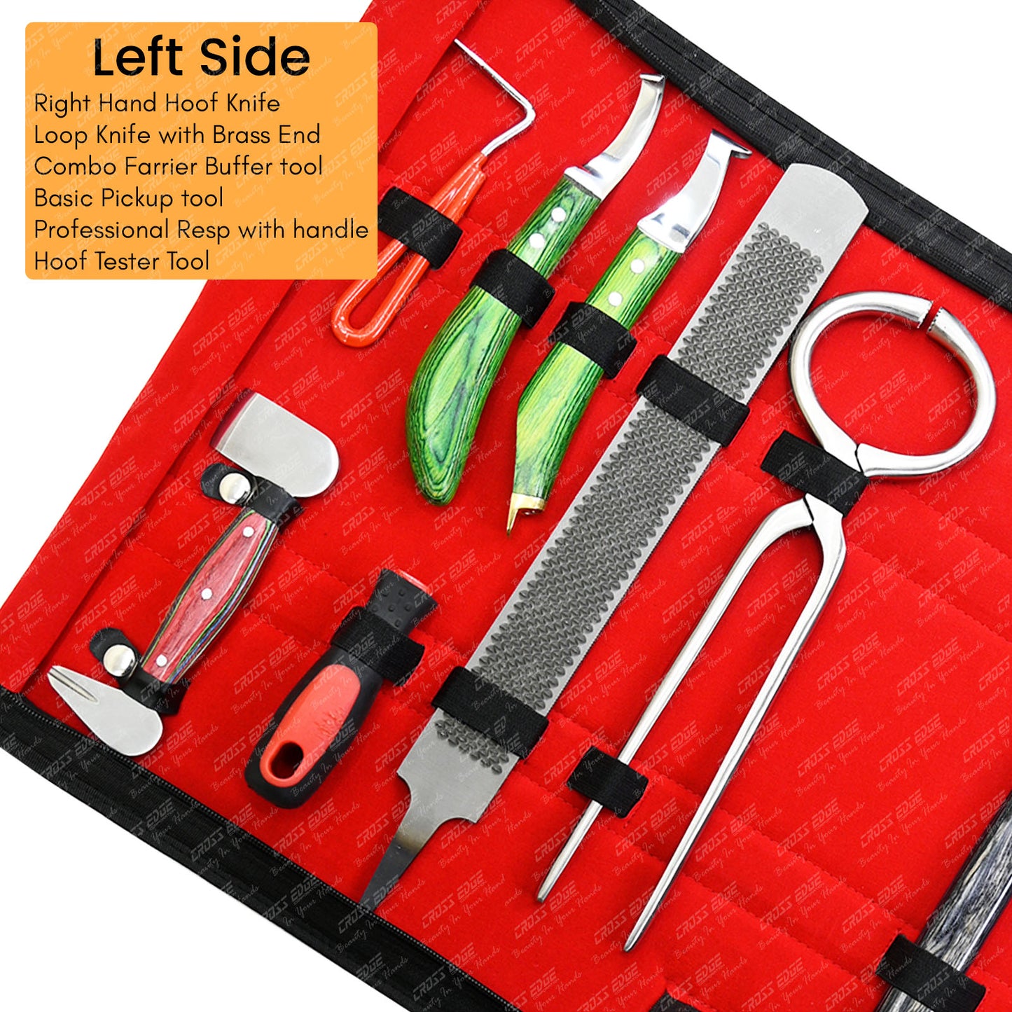 Horse Farrier Tools Kit – Hoof Trimming & Shoeing Set with Case