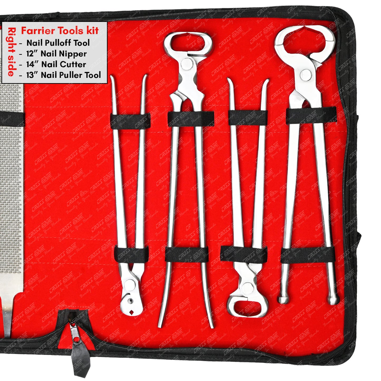 Horse Farrier Tools Kit – 10 Pc Professional Hoof Trimming & Shoeing Set with Case